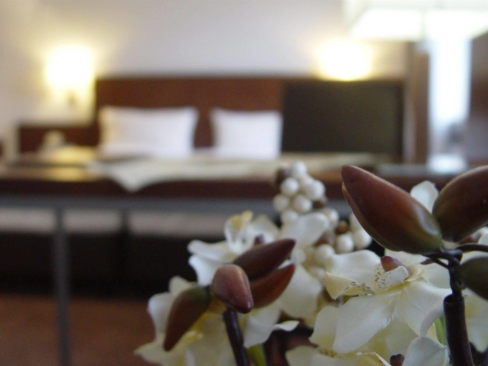 Hotel Zum Adler Bonn Kültér fotó
